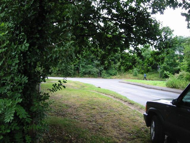 Photograph img_1878.jpg
