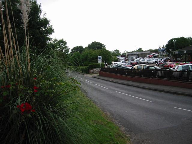 Photograph img_1908.jpg