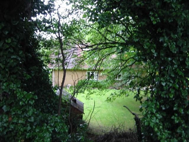 Photograph img_1911.jpg