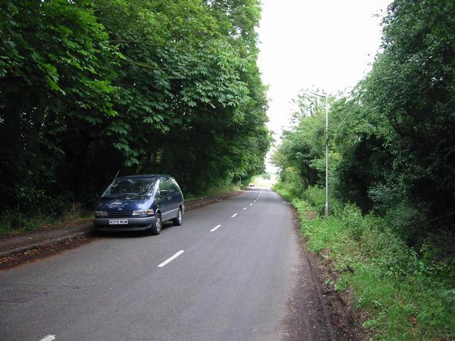 Photograph img_1913.jpg