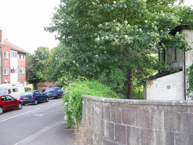Photograph img_2524.jpg