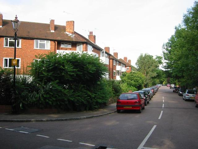 Photograph img_2529.jpg