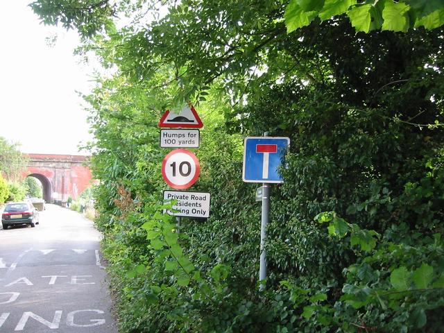 Photograph img_2533.jpg