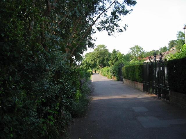 Photograph img_2593.jpg