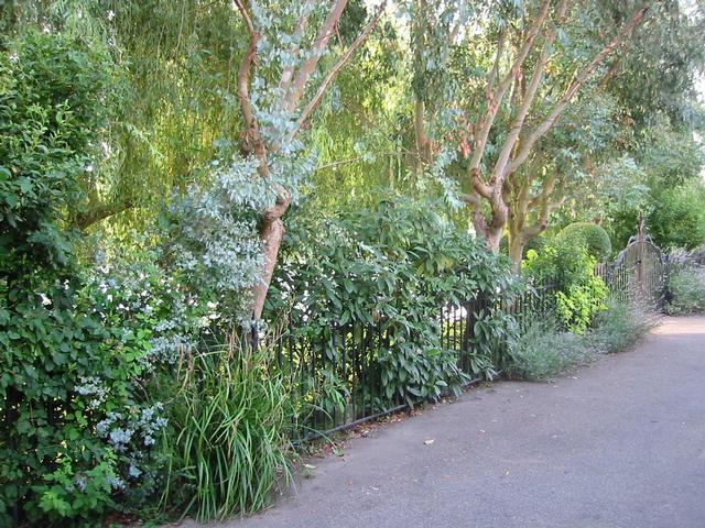 Photograph img_2601.jpg