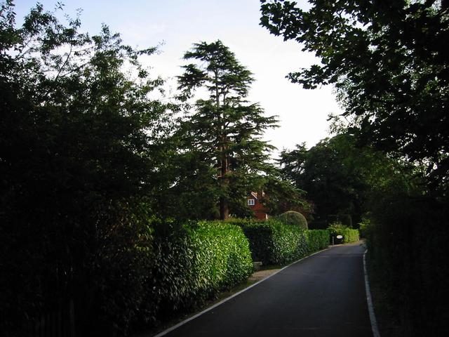 Photograph img_2613.jpg