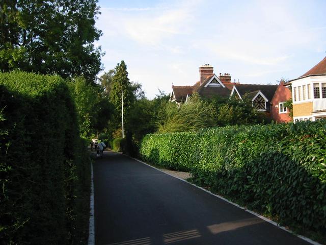 Photograph img_2616.jpg