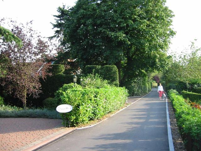 Photograph img_2620.jpg