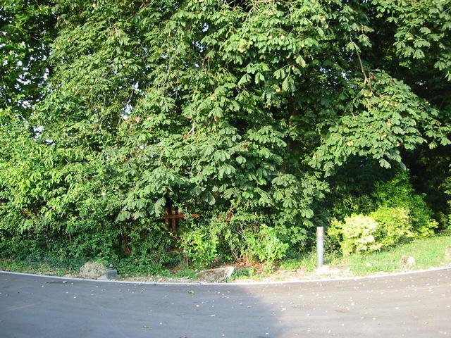 Photograph img_2628.jpg