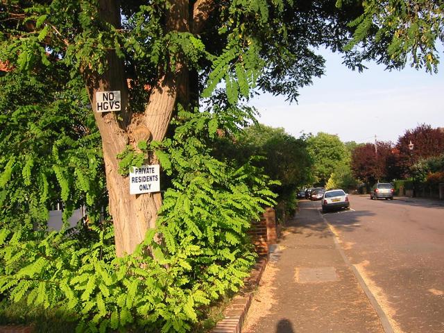 Photograph img_2682.jpg