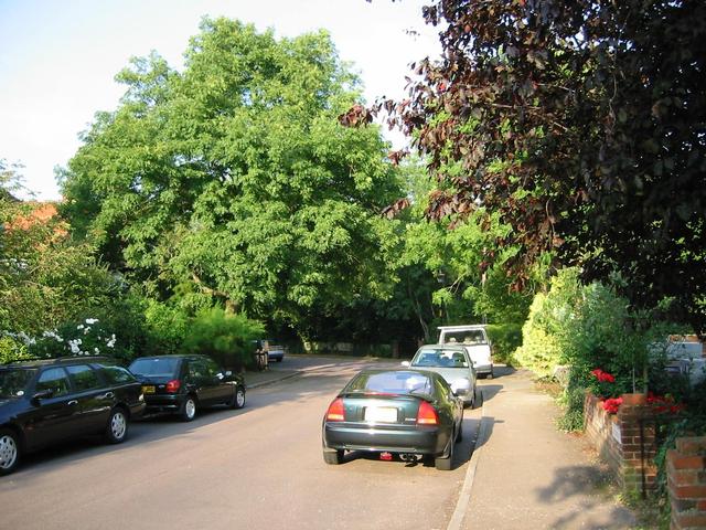 Photograph img_2693.jpg