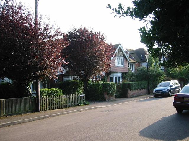 Photograph img_2695.jpg