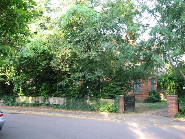 Photograph img_2703.jpg