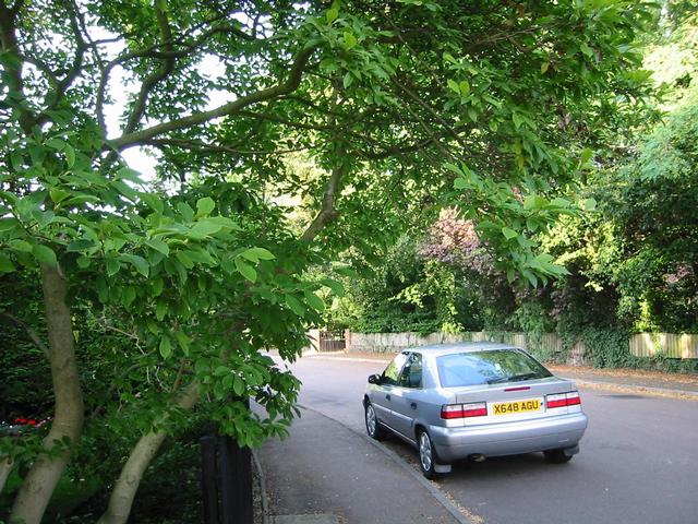 Photograph img_2704.jpg