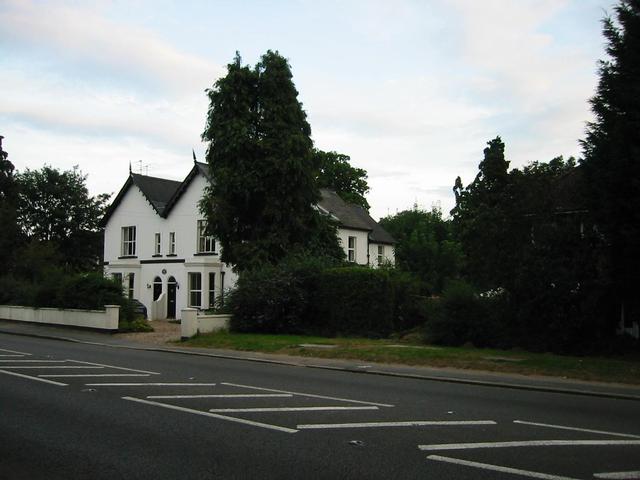 Photograph img_2771.jpg