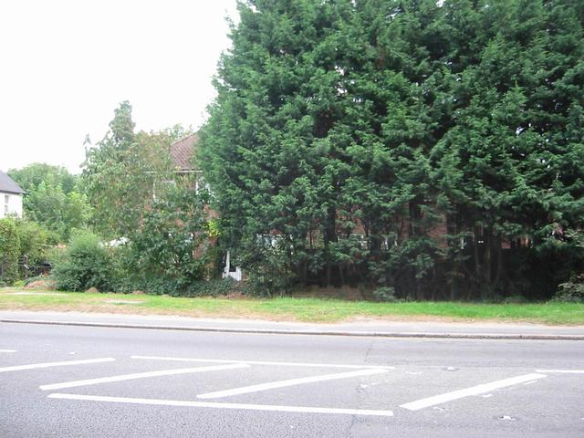 Photograph img_2772.jpg