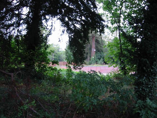Photograph img_2793.jpg