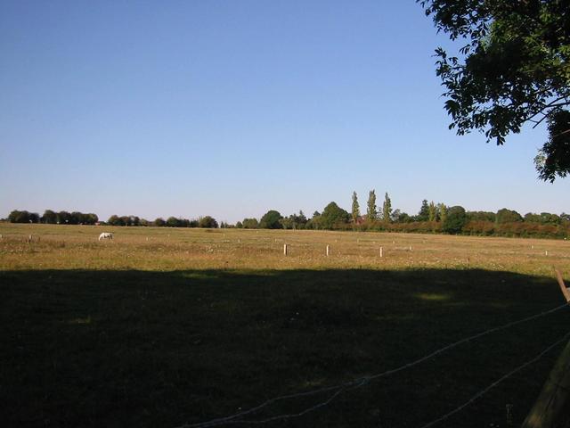Photograph img_2845.jpg