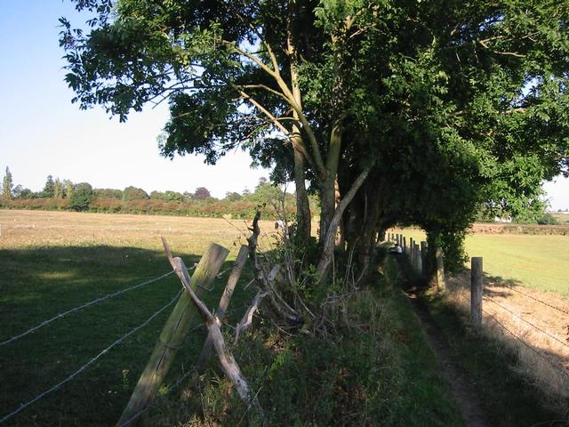 Photograph img_2846.jpg