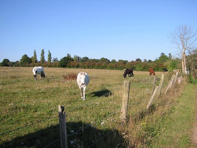 Photograph img_2853.jpg