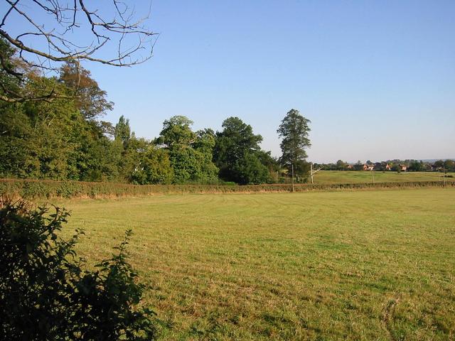 Photograph img_2863.jpg