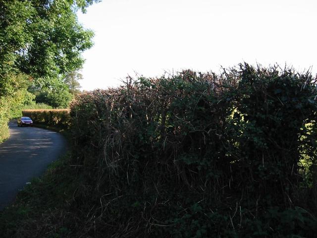 Photograph img_2872.jpg