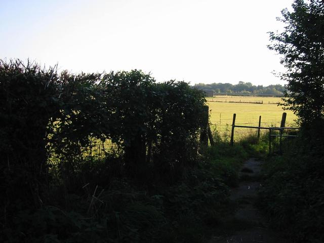 Photograph img_2873.jpg