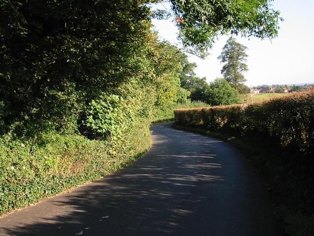 Photograph img_2875.jpg