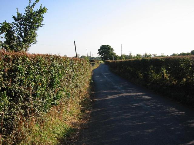 Photograph img_2879.jpg