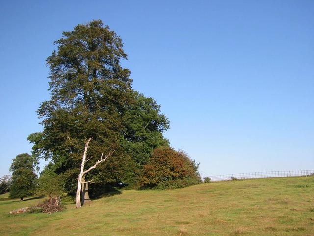 Photograph img_2883.jpg