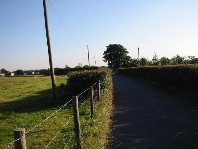 Photograph img_2886.jpg