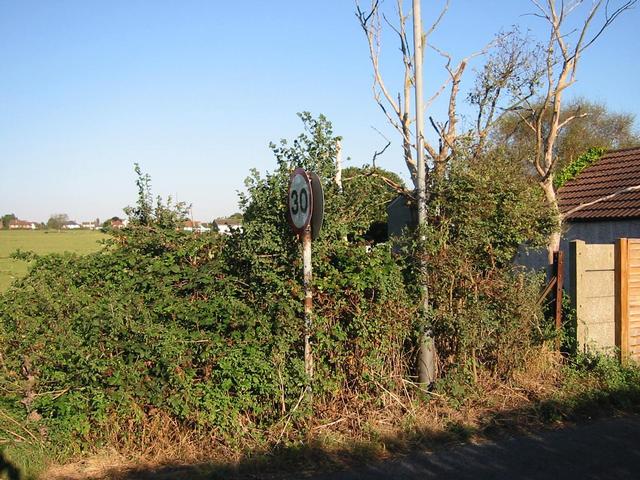 Photograph img_2899.jpg