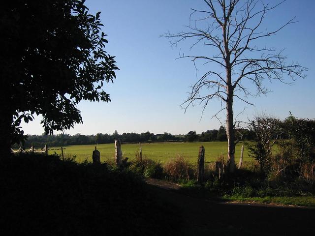 Photograph img_2907.jpg