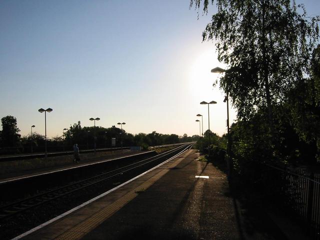 Photograph img_2947.jpg