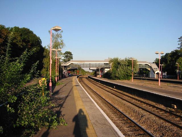 Photograph img_2948.jpg
