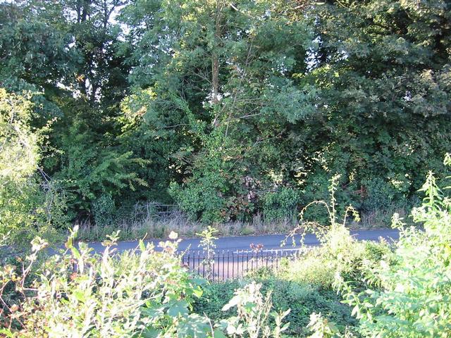 Photograph img_2952.jpg