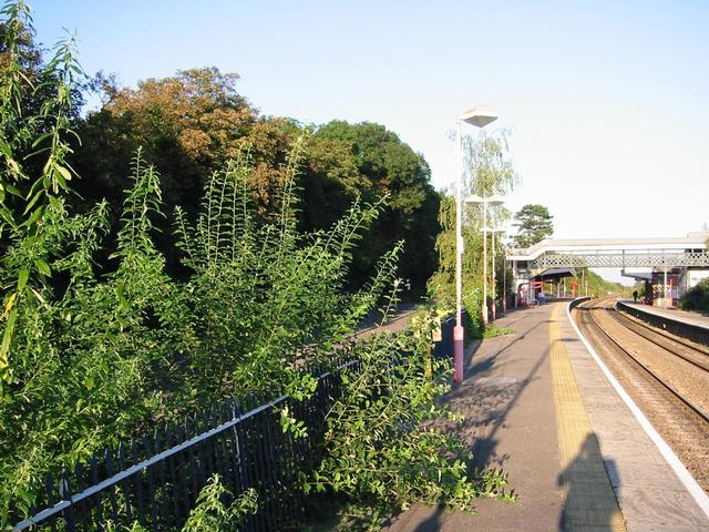 Photograph img_2954.jpg