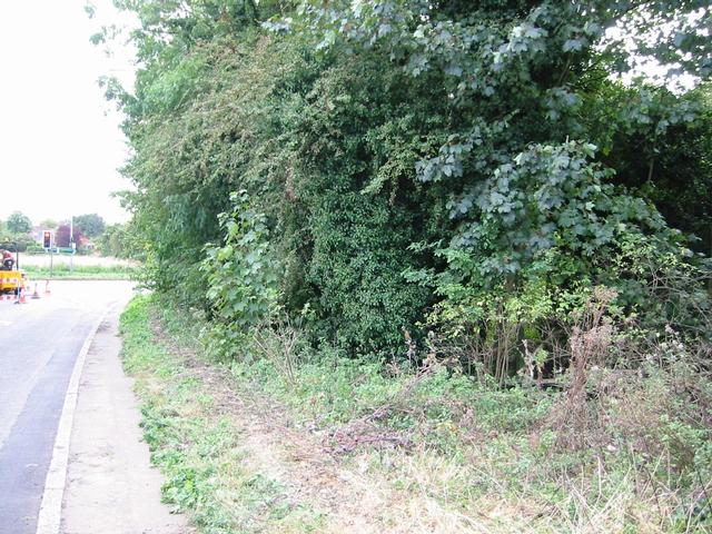 Photograph img_3067.jpg