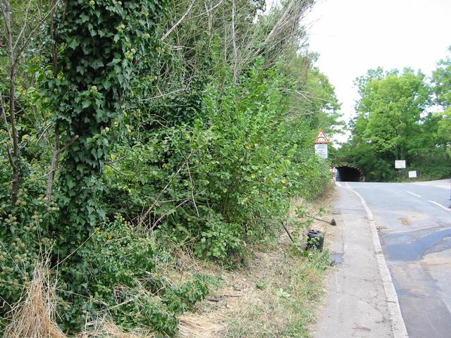 Photograph img_3068.jpg