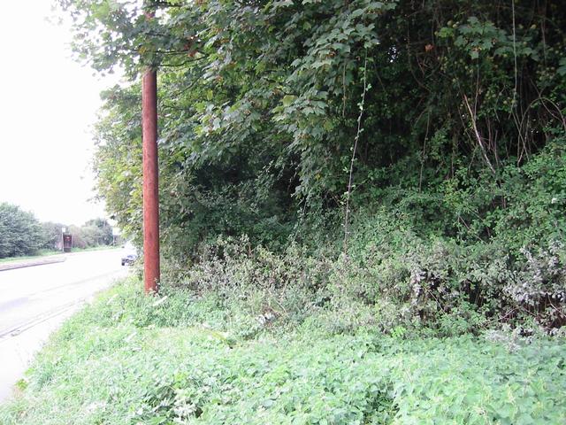 Photograph img_3072.jpg