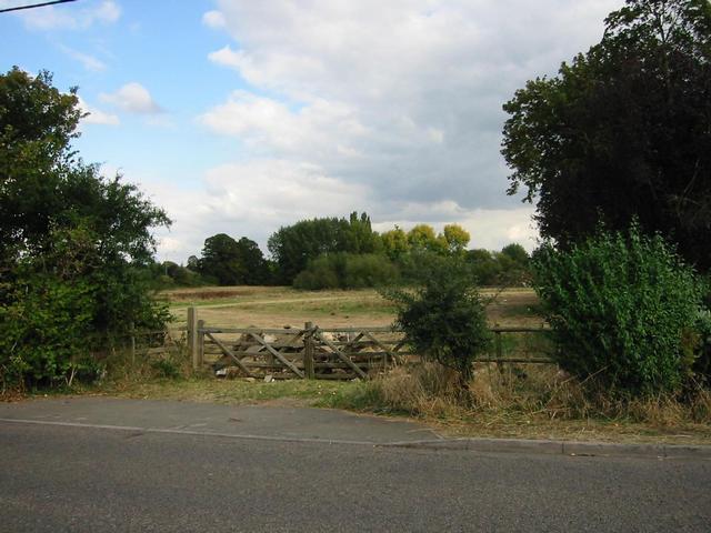 Photograph img_3098.jpg