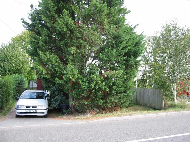Photograph img_3101.jpg