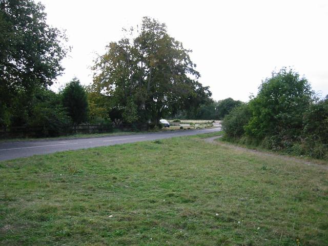 Photograph img_3122.jpg