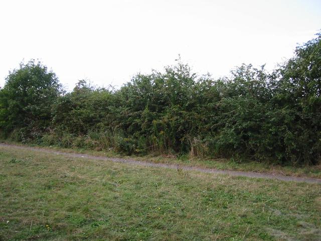 Photograph img_3123.jpg