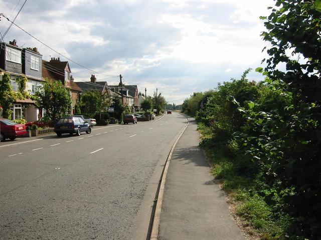 Photograph img_3158.jpg