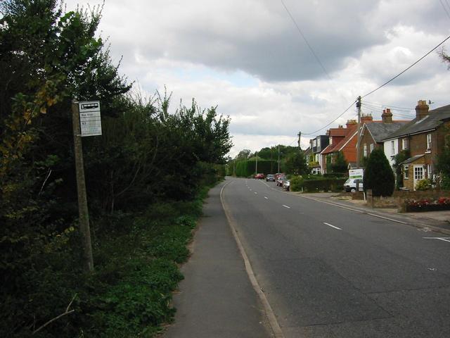 Photograph img_3181.jpg
