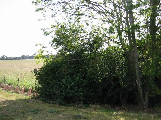 Photograph img_3285.jpg