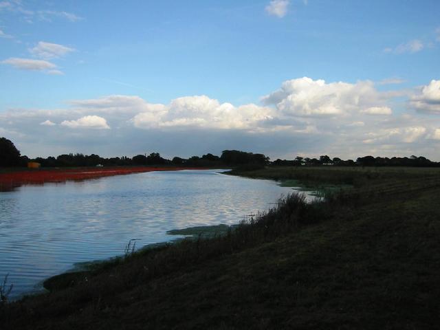 Photograph img_3307.jpg