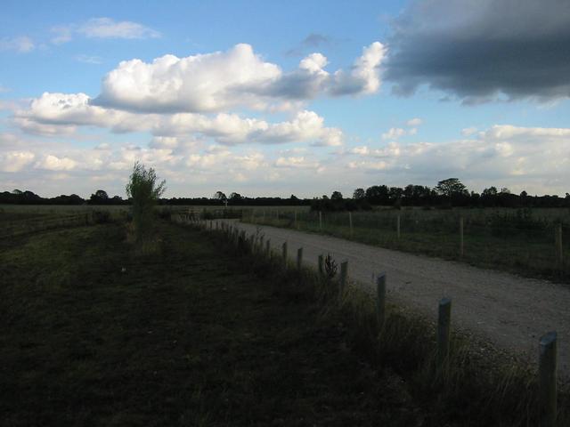 Photograph img_3308.jpg