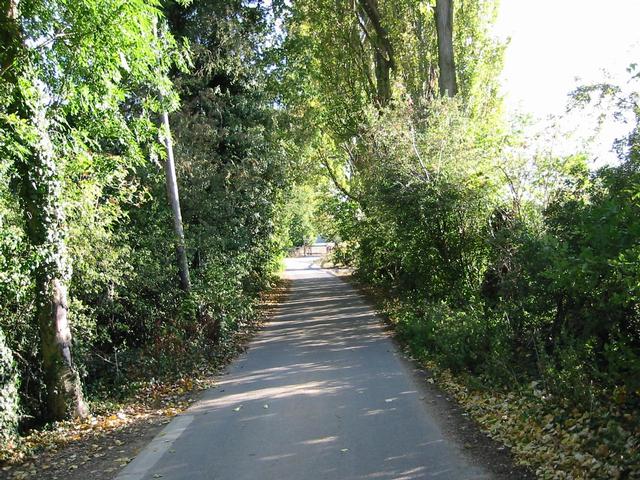Photograph img_3338.jpg